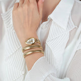 Just Cavalli Glam Evo 5 Silver Dial Gold Steel Strap Watch for Women - JC1L228M0035 Authentic Buy Shop Now