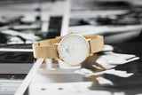 Daniel Wellington Classic Petite Evergold White Dial Gold Mesh Bracelet Watch For Women - DW00100350 Authentic Buy Shop Now