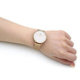 Daniel Wellington Classic Petite Evergold White Dial Gold Mesh Bracelet Watch For Women - DW00100346 Authentic Buy Shop Now