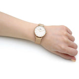 Daniel Wellington Classic Petite White Dial Gold Mesh Bracelet Watch For Women - DW00100348 Authentic Buy Shop Now