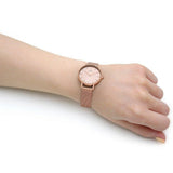 Daniel Wellington Petite Rose Gold Dial Rose Gold Mesh Bracelet Watch For Women - DW00100470 Authentic Buy Shop Now