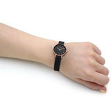 Daniel Wellington Classic Petite Pressed Ashfield Black Dial Black Mesh Bracelet Watch For Women - DW00100441 Authentic Buy Shop Now