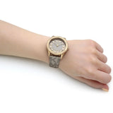 Michael Kors Runway Three Hand Quartz Gold Dial Brown Leather Strap Watch For Women - MK6999 Authentic Buy Shop Now