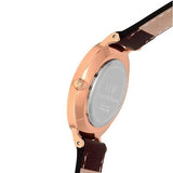 Daniel Wellington Classic Petite Bristol Black Dial Brown Leather Strap Watch For Women - DW00100165 Authentic Buy Shop Now