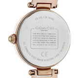 Coach Park Mother of Pearl Dial Rose Gold Mesh Bracelet Watch for Women - 14503511 Authentic Buy Shop Now