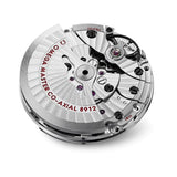 Omega Planet Ocean 6000M Co Axial Master Chronometer 45.5mm White Dial Silver Steel Strap Watch for Men - 21530462104001 Authentic Buy Shop Now