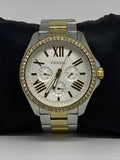 Fossil Cecile White Dial Two Tone Steel Strap Watch for Women - AM4543 Authentic Buy Shop Now