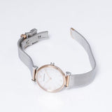 Emporio Armani Retro Mother of Pearl Dial Silver Mesh Bracelet Watch For Women - AR2067 Authentic Buy Shop Now