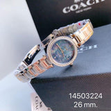 Coach Park Blue Dial Gold Steel Strap Watch for Women - 14503225 Authentic Buy Shop Now