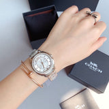 Coach Mini Boyfriend Diamonds Silver Dial Silver Steel Strap Watch for Women - 14501699 Authentic Buy Shop Now